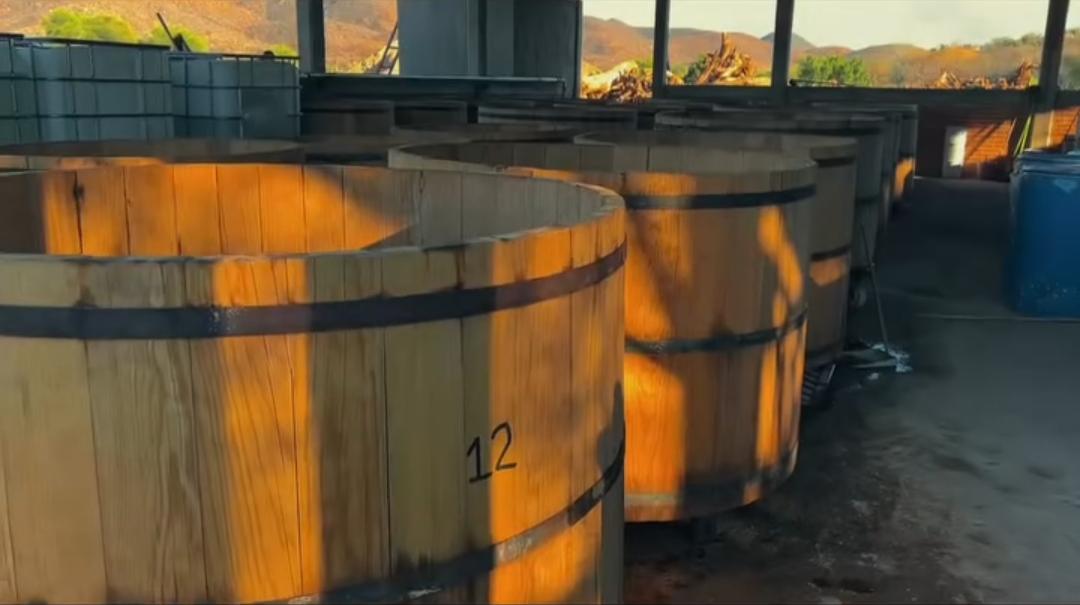 Maestro mezcalero trabajando