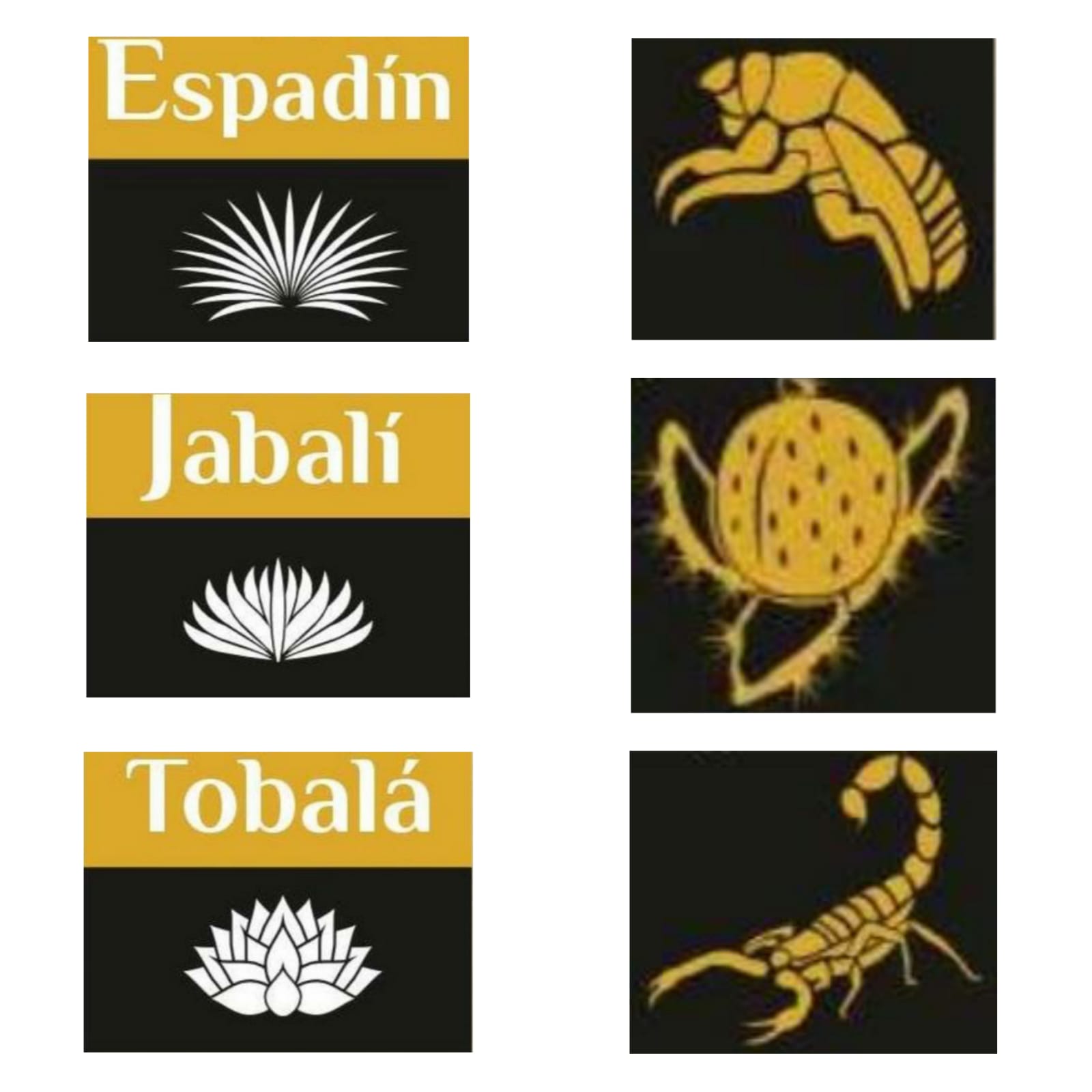 Botellas de Mezcal Mixteca Poblana en exhibición